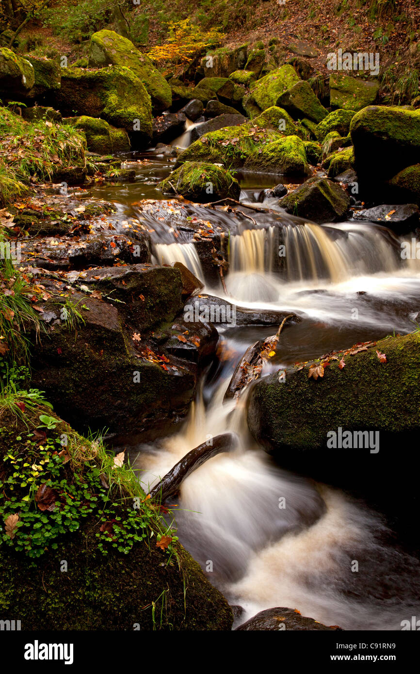 kleiner Wasserfall am Fluss im Herbst durch Padley Schlucht, Grindleford, Peak District, England Stockfoto