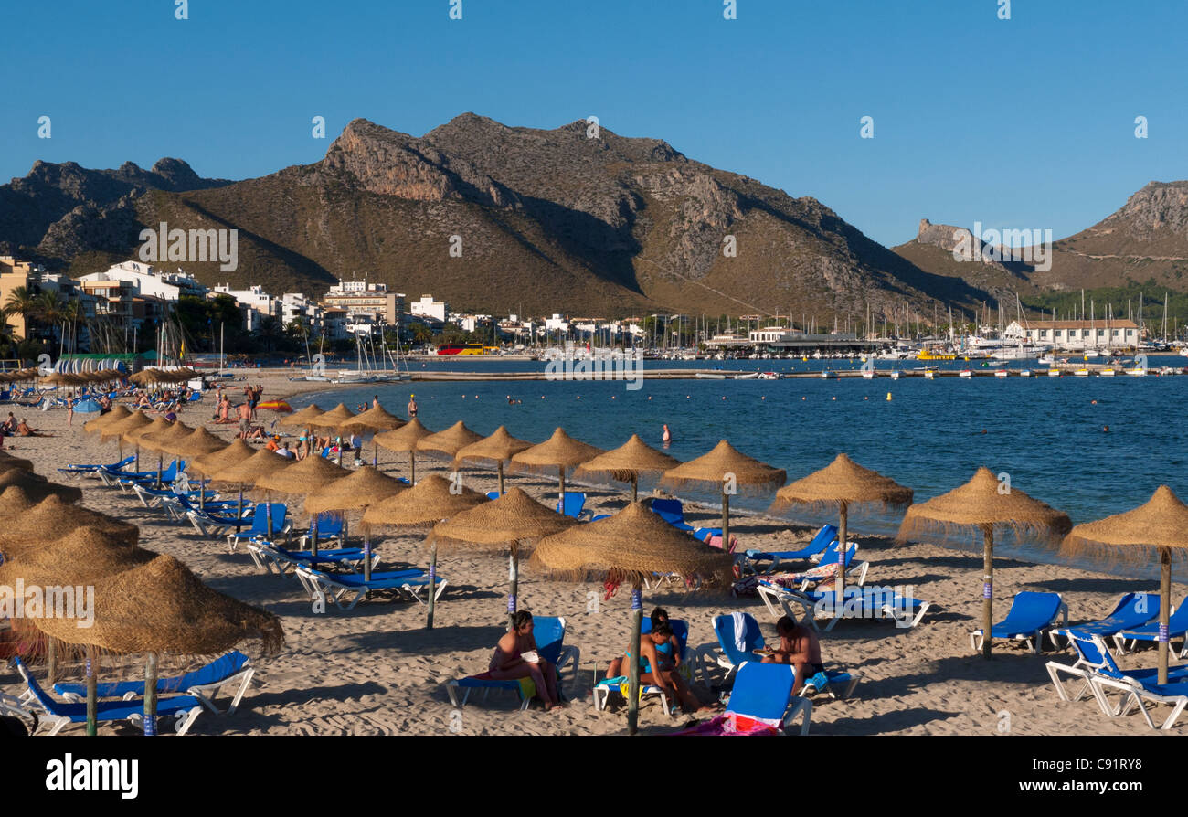 Strand und Bucht in Puerto de Pollensa, Mallorca, Spanien Stockfoto