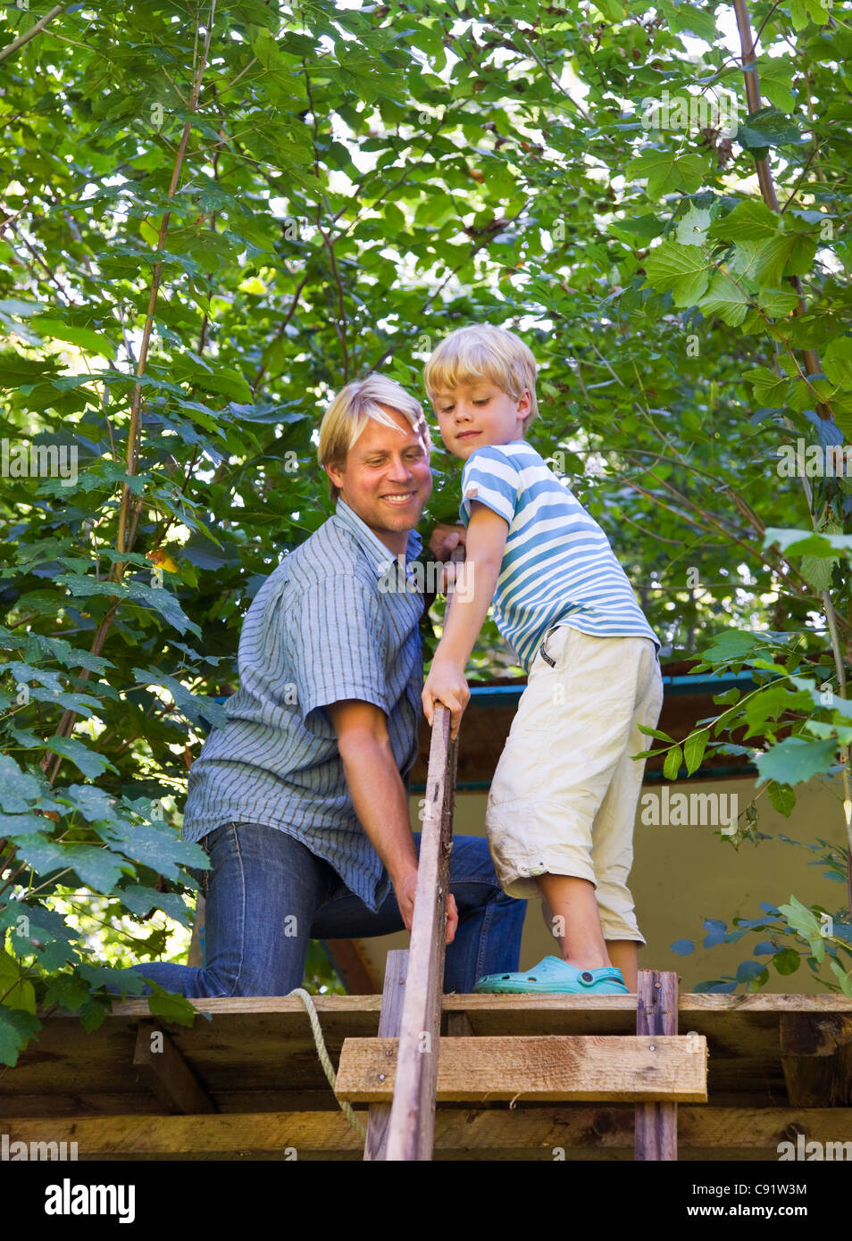 Vater und Sohn bauen Baumhaus Stockfoto