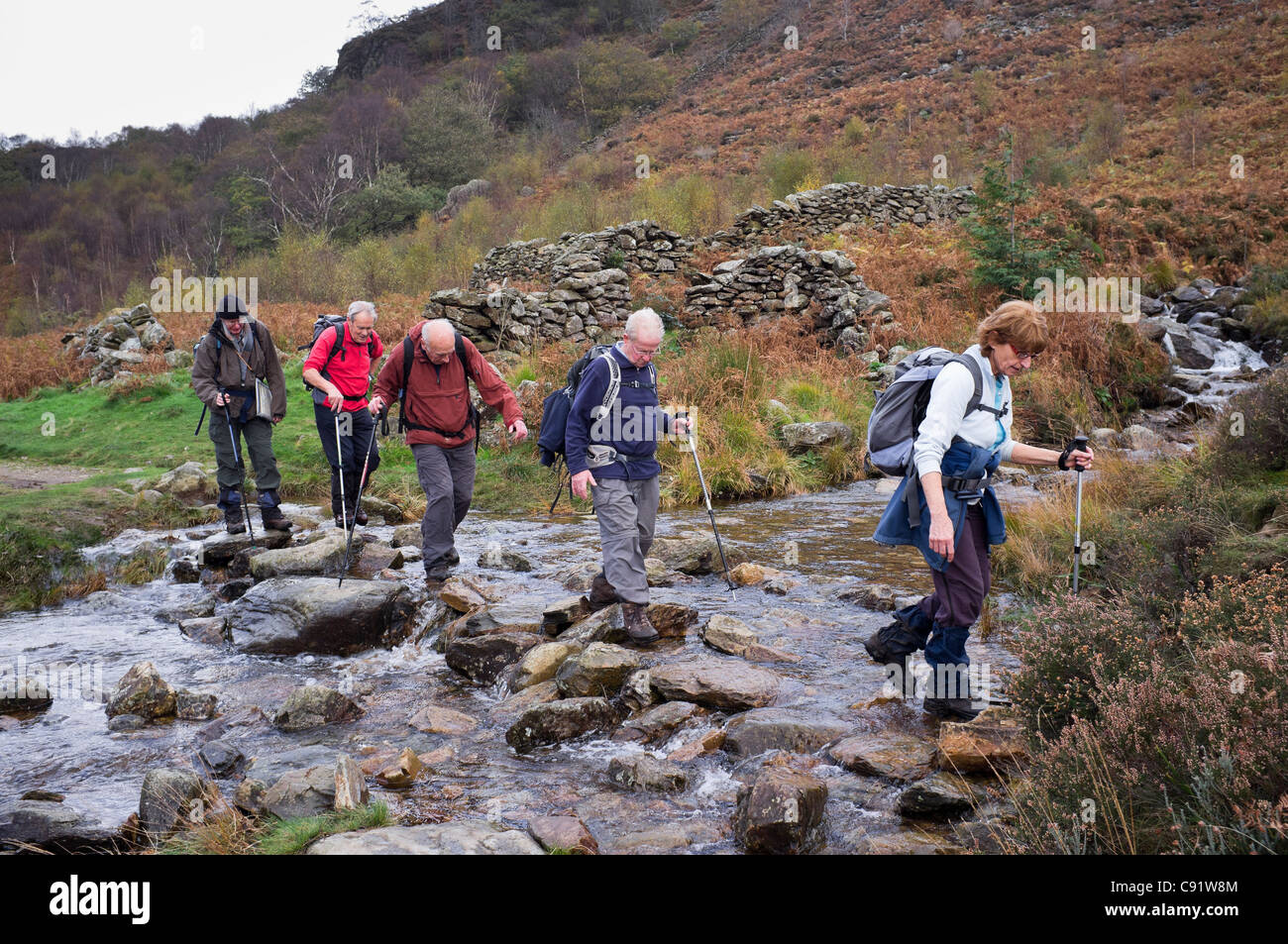 North Wales, UK. Gruppe von senior Ramblers mit trekking-Stöcke vorsichtig überqueren eines Gebirgsbaches auf Trittsteine Stockfoto