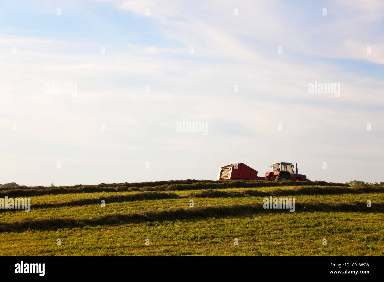 Ernte im Bereich Traktor Stockfoto