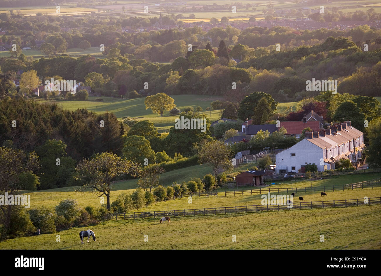 Reihe der Häuser Gribdale Terrasse in der Nähe von Great Ayton North Yorkshire England Stockfoto