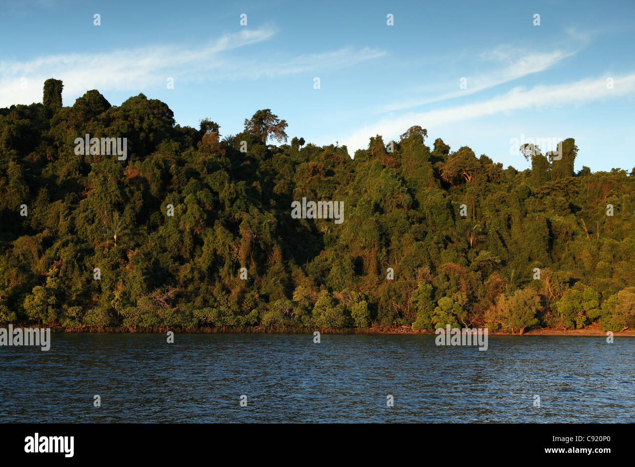 Die Dicke üppigen tropischen Wald grenzt an das Meer in Mamoko Island, bei Sonnenuntergang, in der Nähe von Nosy Be, Madagaskar Stockfoto