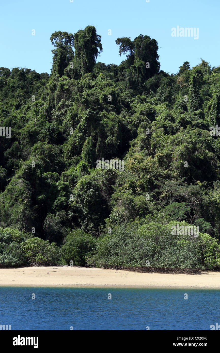 Mamoko Insel Strand gesäumt von dichten üppigen tropischen Wald, in der Nähe von Nosy Be, Madagaskar Stockfoto