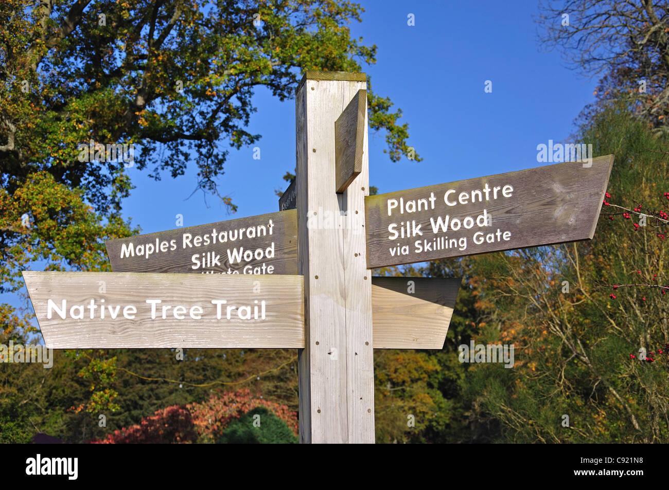 Wegweiser im Westonbirt, The National Arboretum, in der Nähe von Tetbury, Gloucestershire, England, Vereinigtes Königreich Stockfoto
