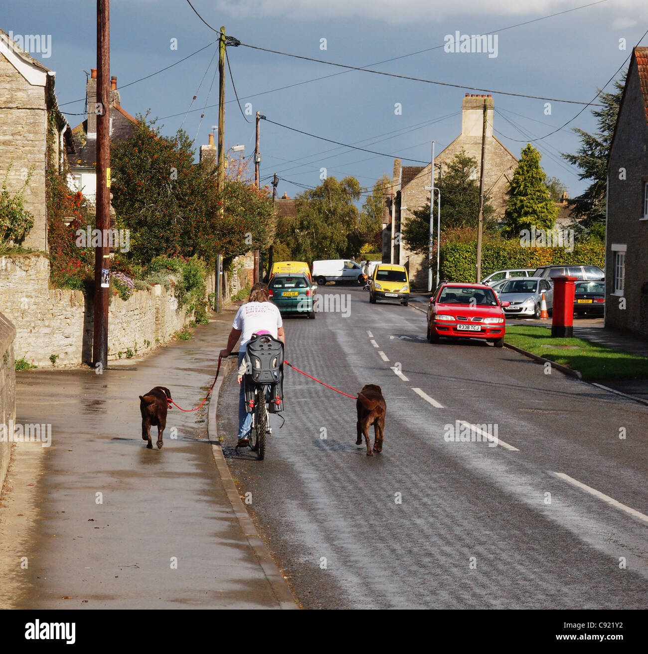 Frau Hund zu Fuß auf dem Fahrrad mit zwei Hunden und einem Kind Stockfoto