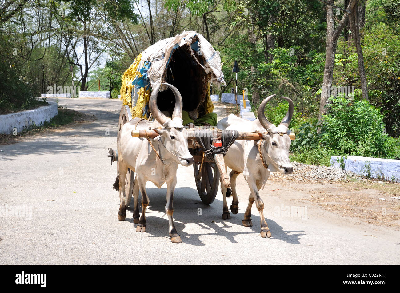 Indische Ochsenkarren Stockfoto