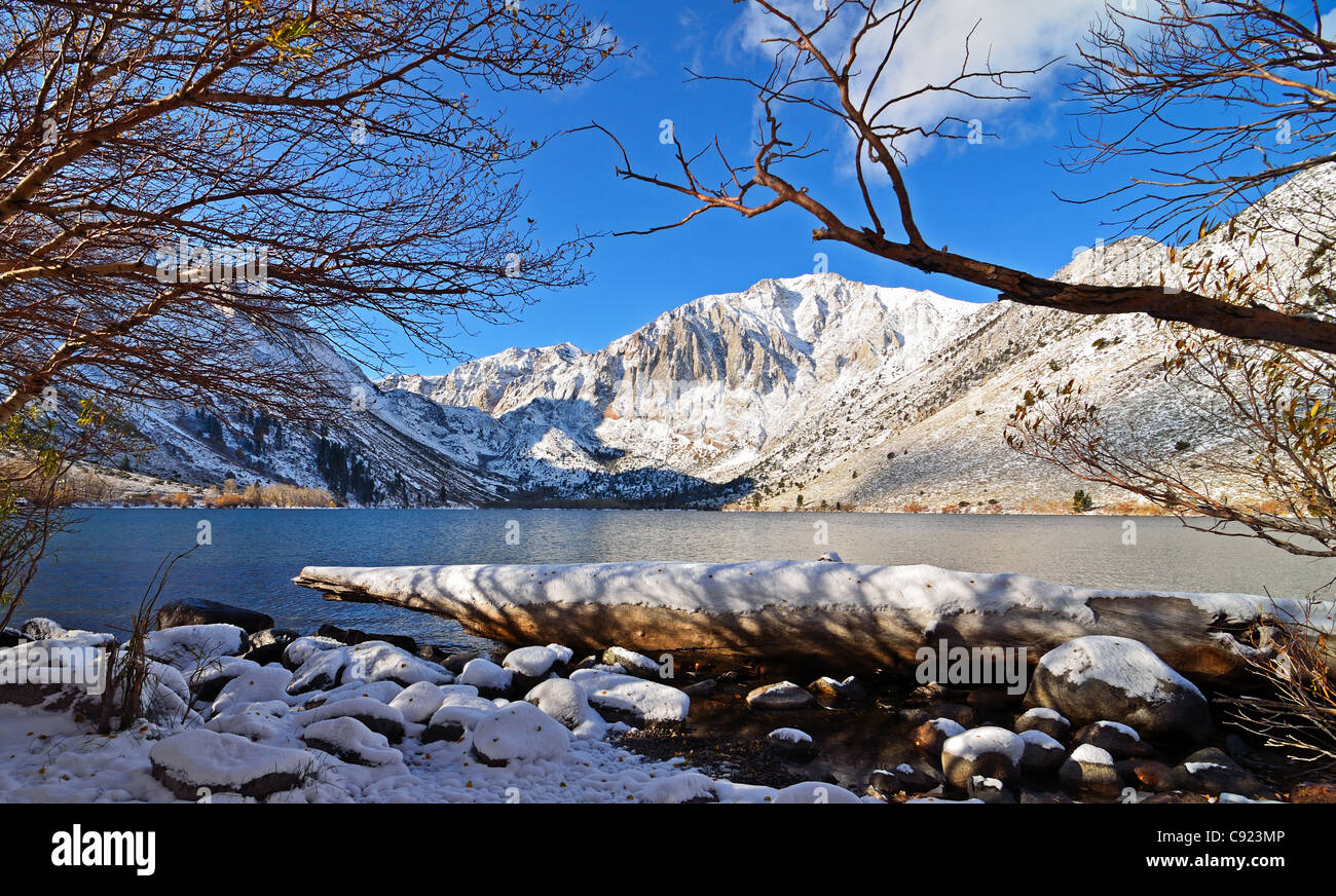 Überhängende Herbst Bäume umrahmen Convict Lake mit frischem Schnee Stockfoto