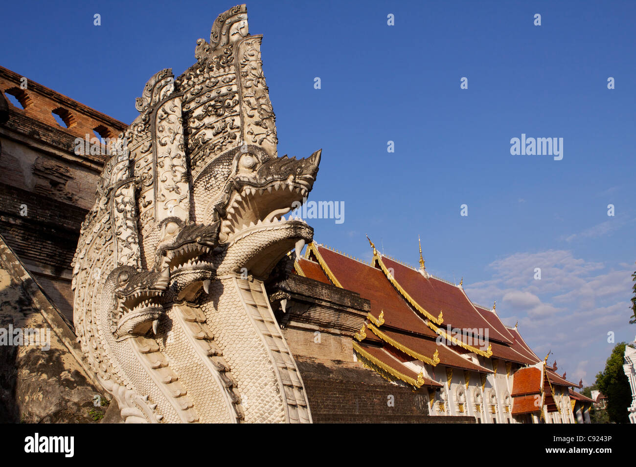 Schnitzen von einem Naga (5-köpfigen Schlange) bewachen den Eingang zum Wat Chedi Luang Wora Viharn, gebaut im Jahre 1401, Chiang Mai, Thailand Stockfoto
