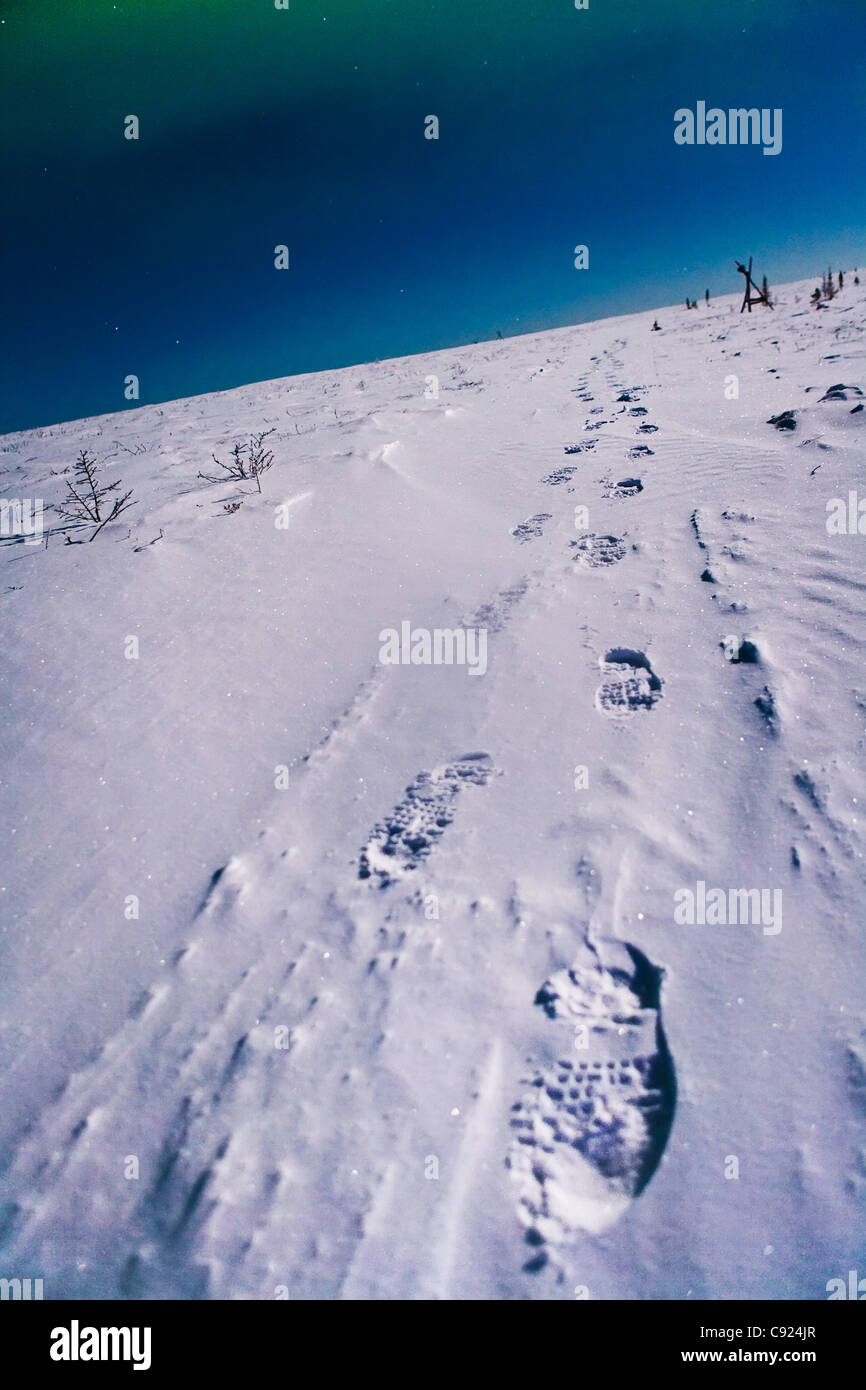 Fußspuren im Schnee führt Sie in die Ferne. White Mountains, innen Alaska. Stockfoto