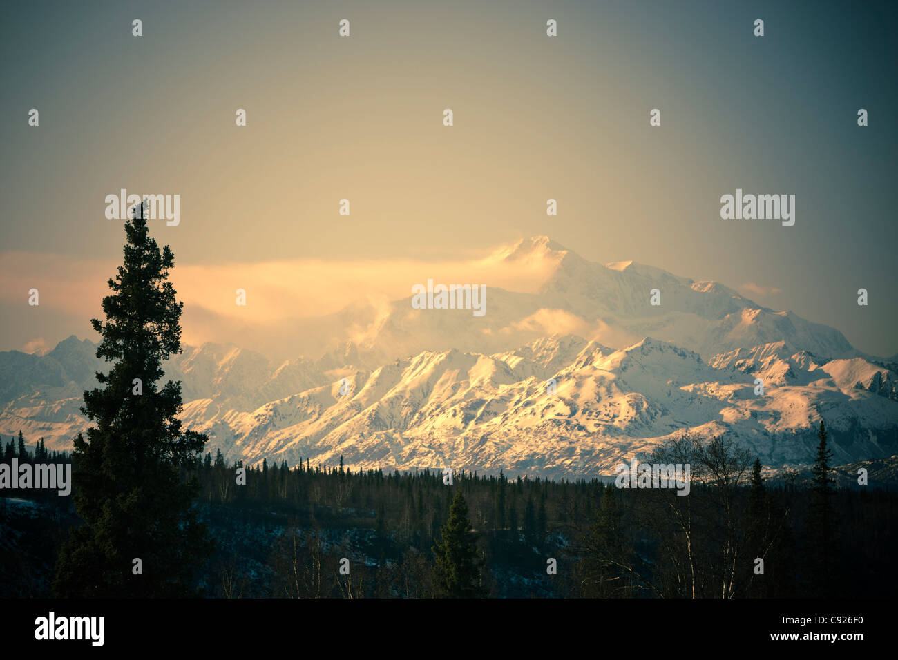Anzeigen der frühen Morgenlicht am Mount McKinley, wie Gesichtspunkten Denali State Park, Denali Nationalpark, Alaska Stockfoto