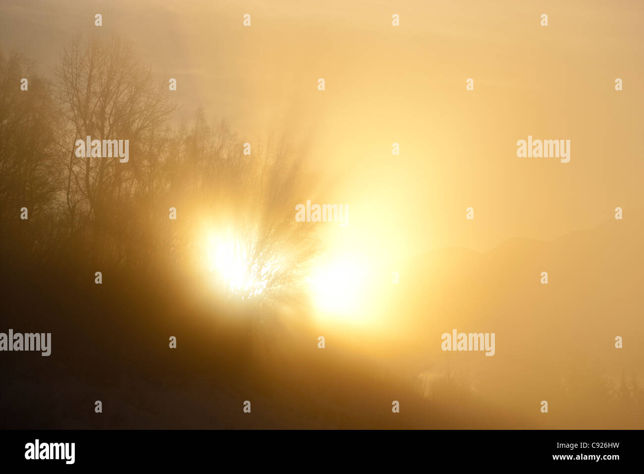 Sonne durch den Nebel entlang Turnagain Arm neben dem Seward Highway, Chugach State Park, Winter, Yunan Alaska platzen Stockfoto