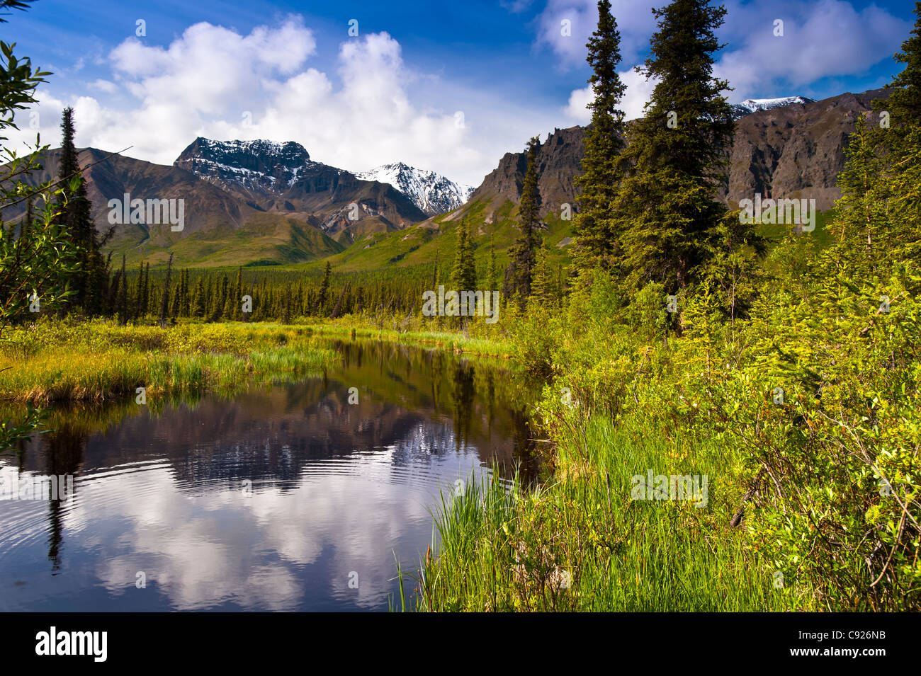 Malerische, von einem kleinen Teich an der Nabesna Straße in Wrangell-St.-Elias-Nationalpark mit Skookum Vulkan im Hintergrund, Alaska Stockfoto
