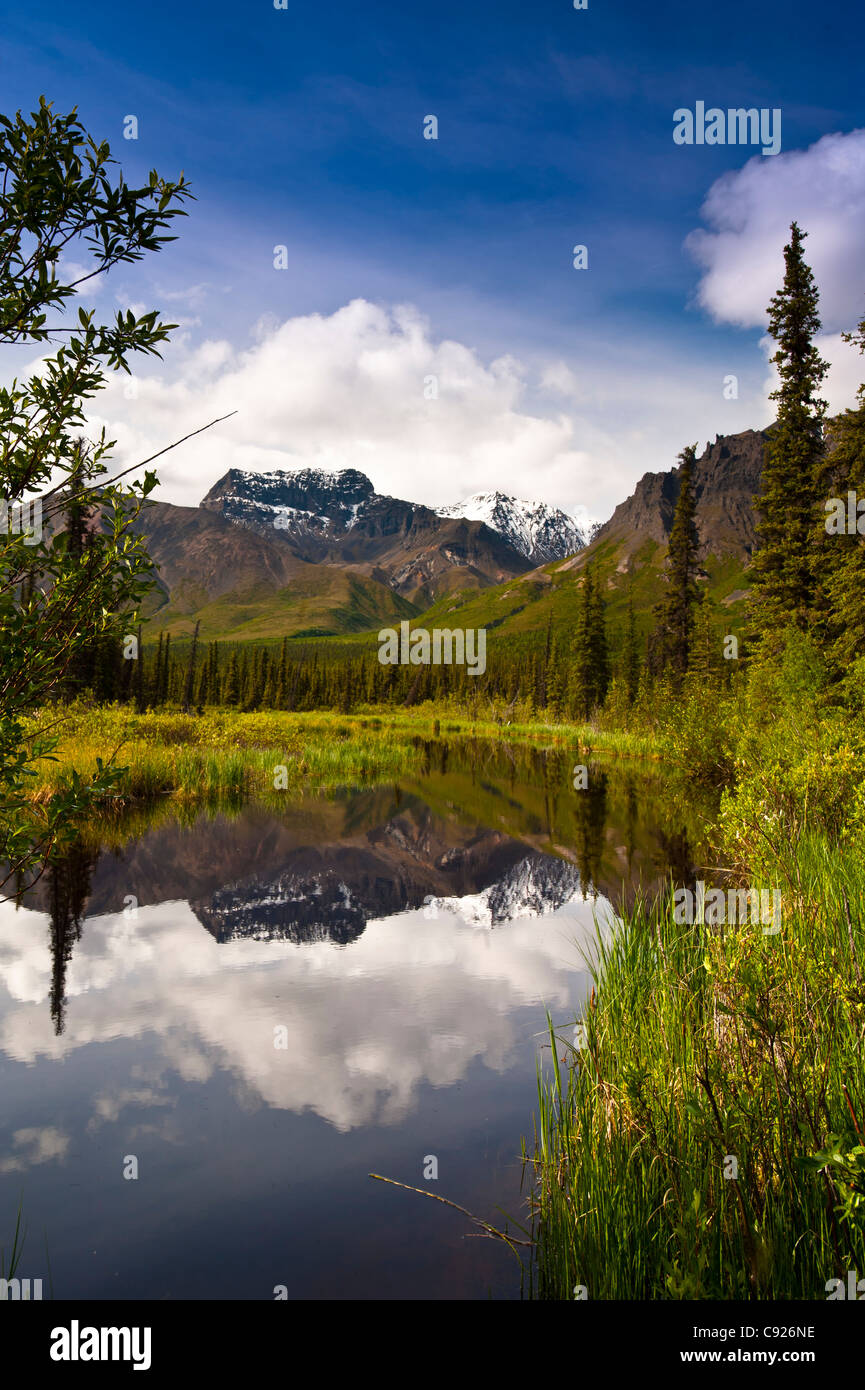 Malerische, von einem kleinen Teich an der Nabesna Straße in Wrangell-St.-Elias-Nationalpark mit Skookum Vulkan im Hintergrund, Alaska Stockfoto