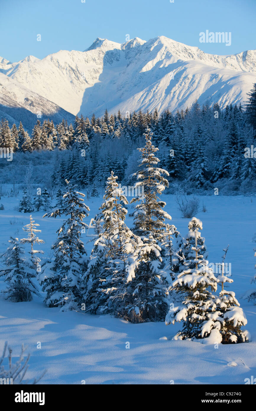 Malerische Aussicht von Chugach Mountains und schneebedeckter Landschaft, Yunan Alaska, Winter Stockfoto
