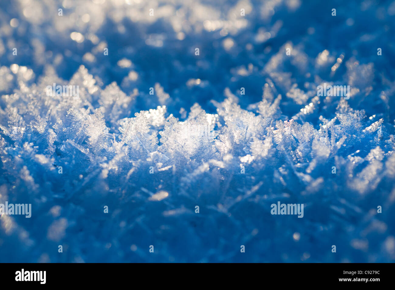 Makro-Ansicht der Raureif angesammelt auf Schnee bei kalten Temperaturen im Winter, Anchorage, Alaska Stockfoto