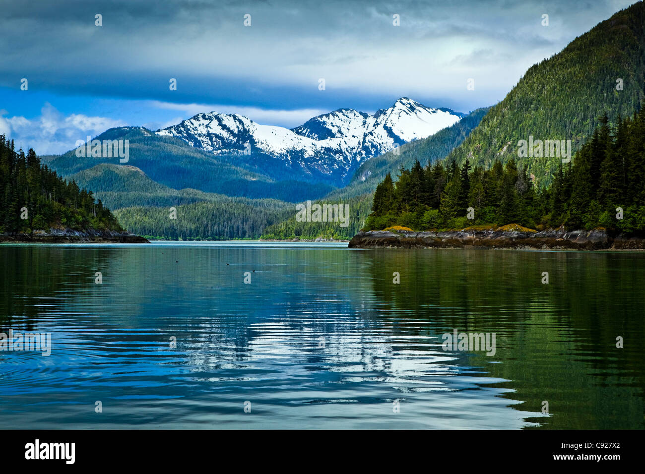 Landschaft der Landschaft Cove, Thomas Bay, Petersburg, südöstlichen Alaska, Sommer Stockfoto