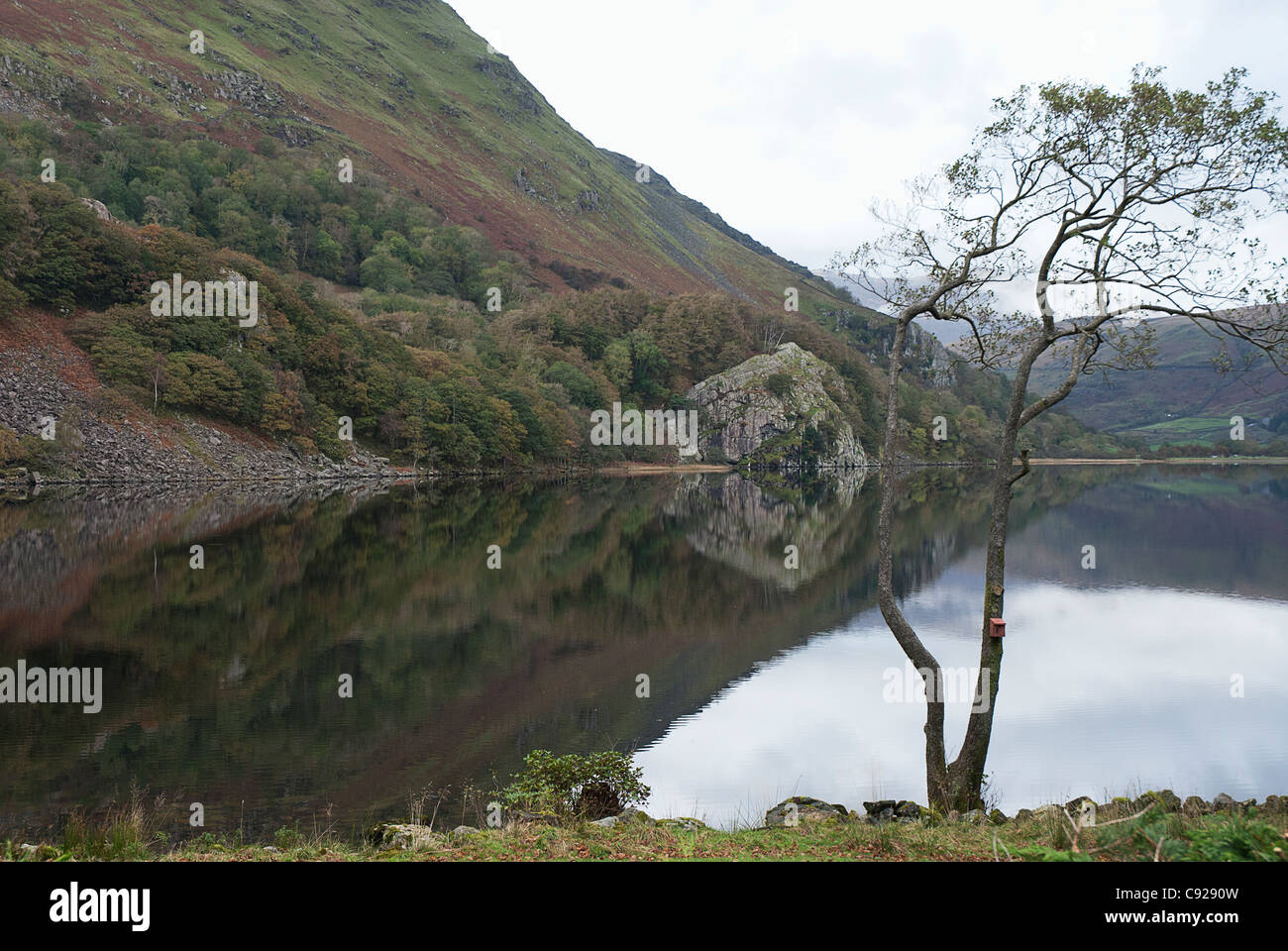 Großbritannien, Wales, Llyn Gwynant, Bergsee Stockfoto