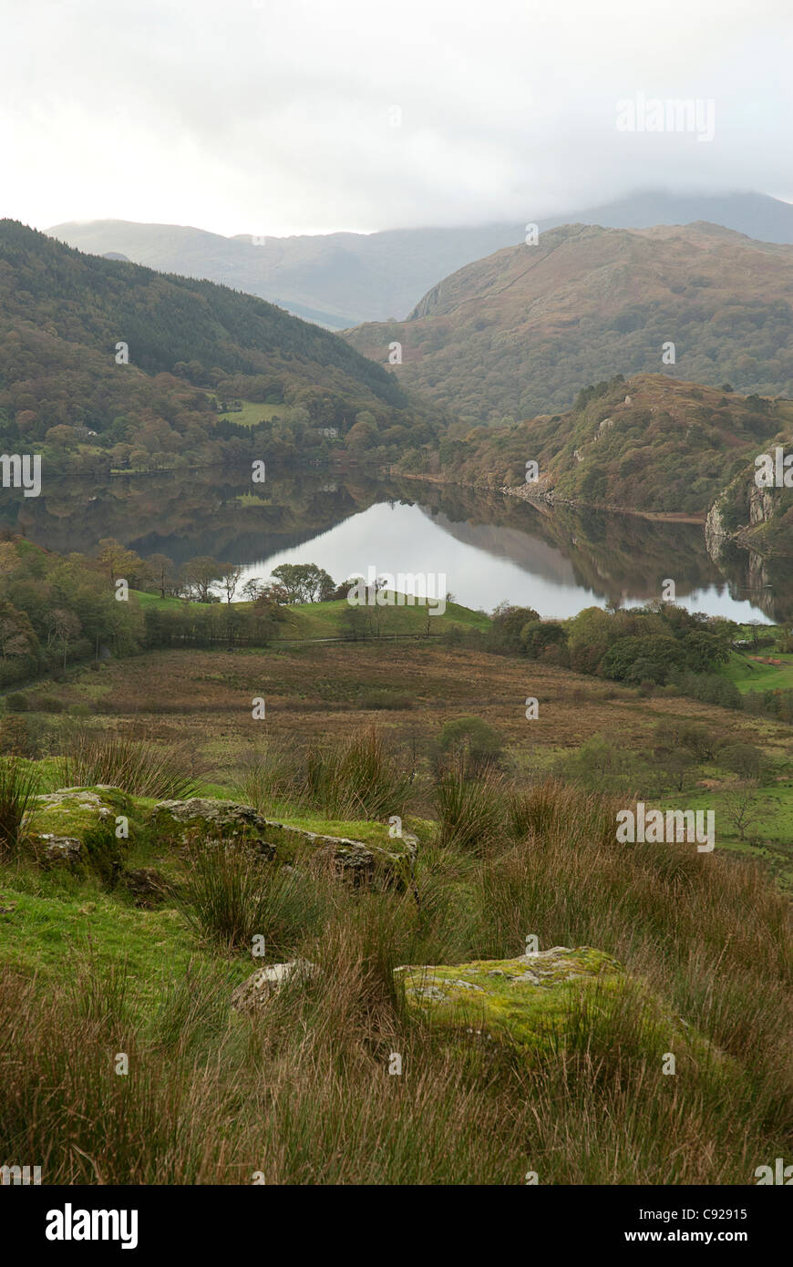 Großbritannien, Wales, LLyn Gwynant, Landschaft rund um den Bergsee Stockfoto