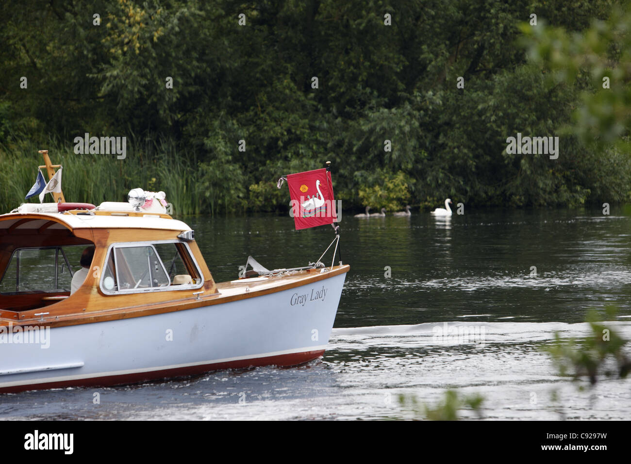 Ein Gefolge von Boote folgen der Swan-Oberteil hinunter den Fluß während Swan Upping, Themse, Henley, England Stockfoto