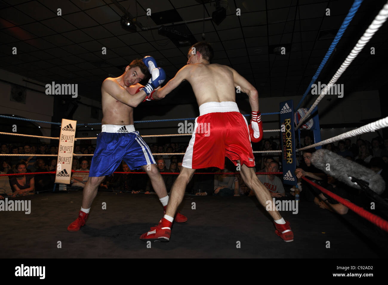 Internationalen Schach Boxkampf bei The Dome, The Boston Arms in London stattfindenden Stockfoto