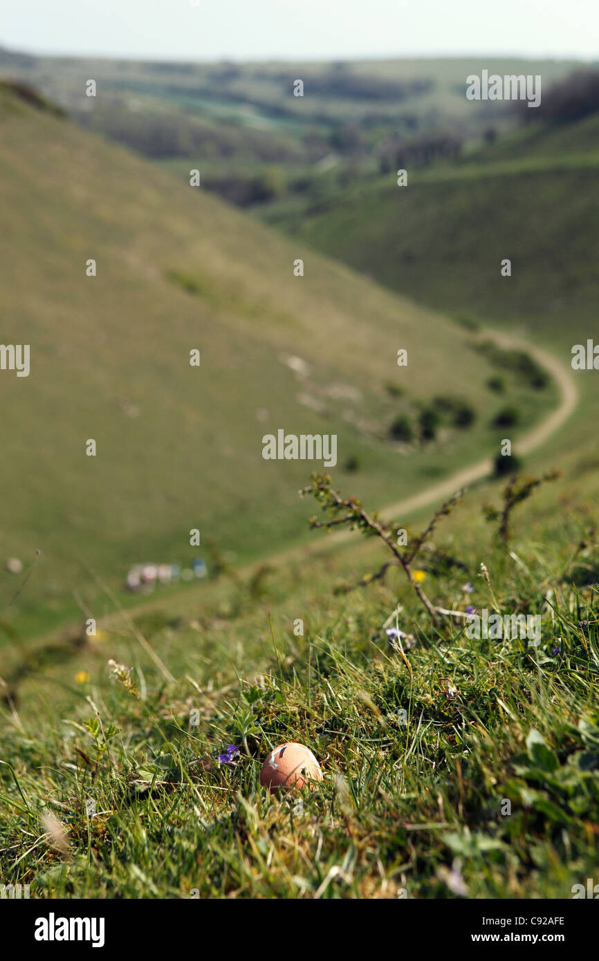 Der schrullige jährliche Easter Egg Rolling Wettbewerb, statt auf Ostern Bank Holiday Montag, Devil es Dyke, West Sussex, England Stockfoto