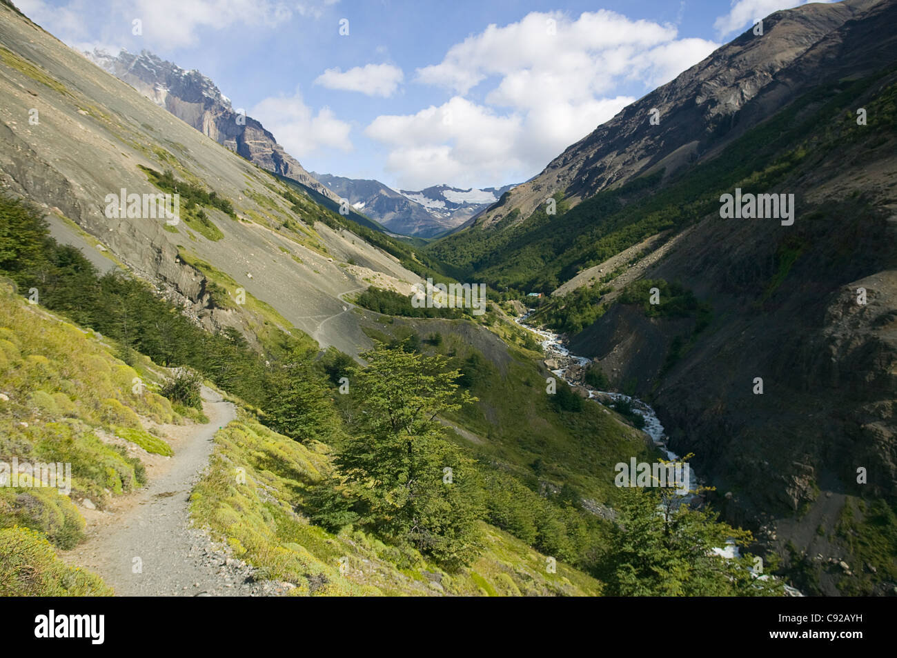 Chile, Patagonien, Torres del Paine Nationalpark, Las Torres Trail im Rio Ascencio Tal Stockfoto