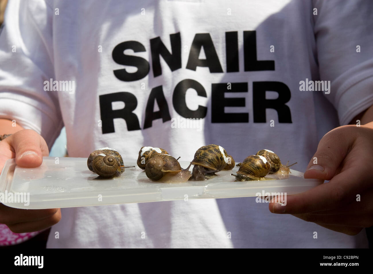 Die schrulligen jährliche Snail Racing Weltmeisterschaft, in Congham, Norfolk, England Stockfoto