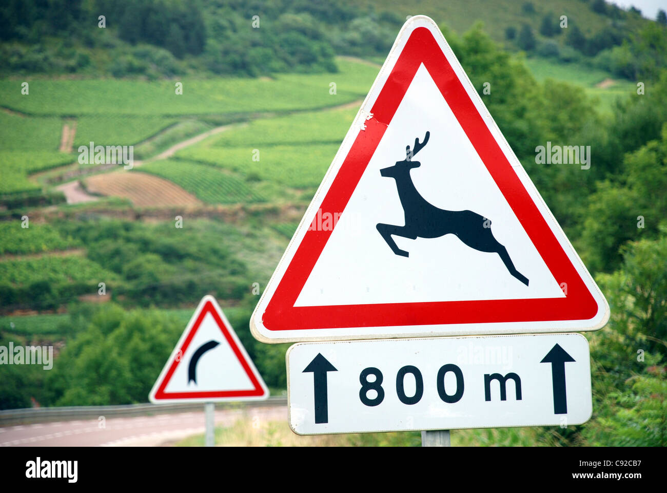 Frankreich, Burgund, Wildwechsel Zeichen südlich von Beaune, entlang der Route Touristique des Grands Crus Stockfoto