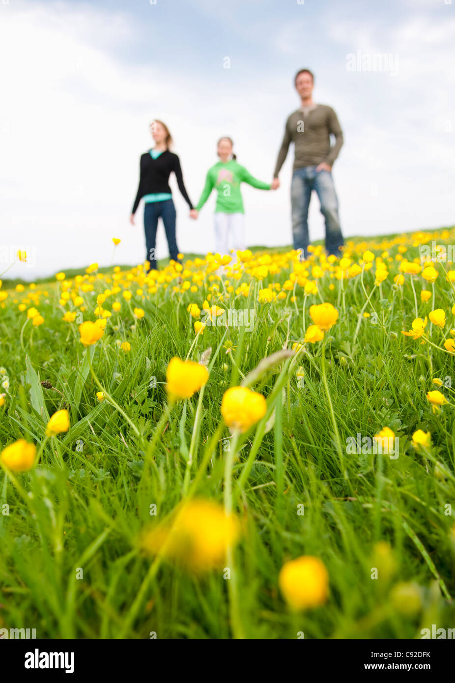 Familien stehen im Bereich der Blumen Stockfoto
