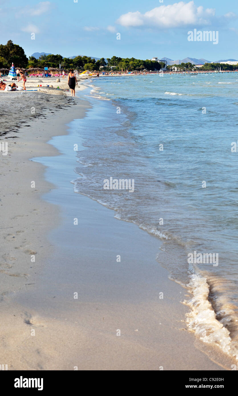 Strand von Alcudia, Mallorca, Balearen, Spanien, Europa Stockfoto