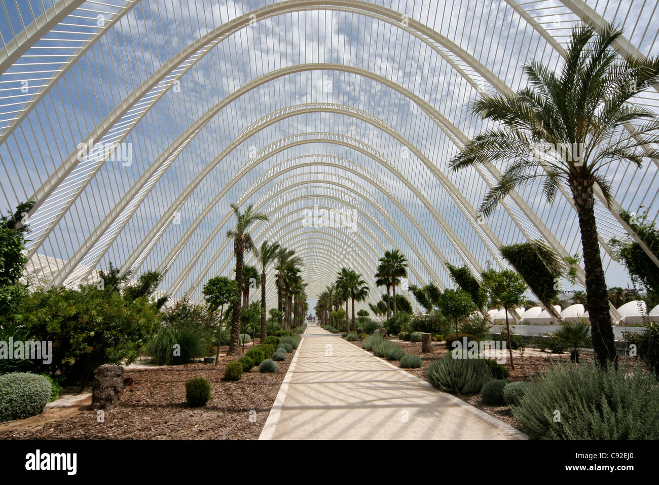 Umbracle ist ein angelegten Gehweg mit einheimischen Pflanzenarten nach Valencia und ist Teil der Ciutat de Les Artes ich Stockfoto