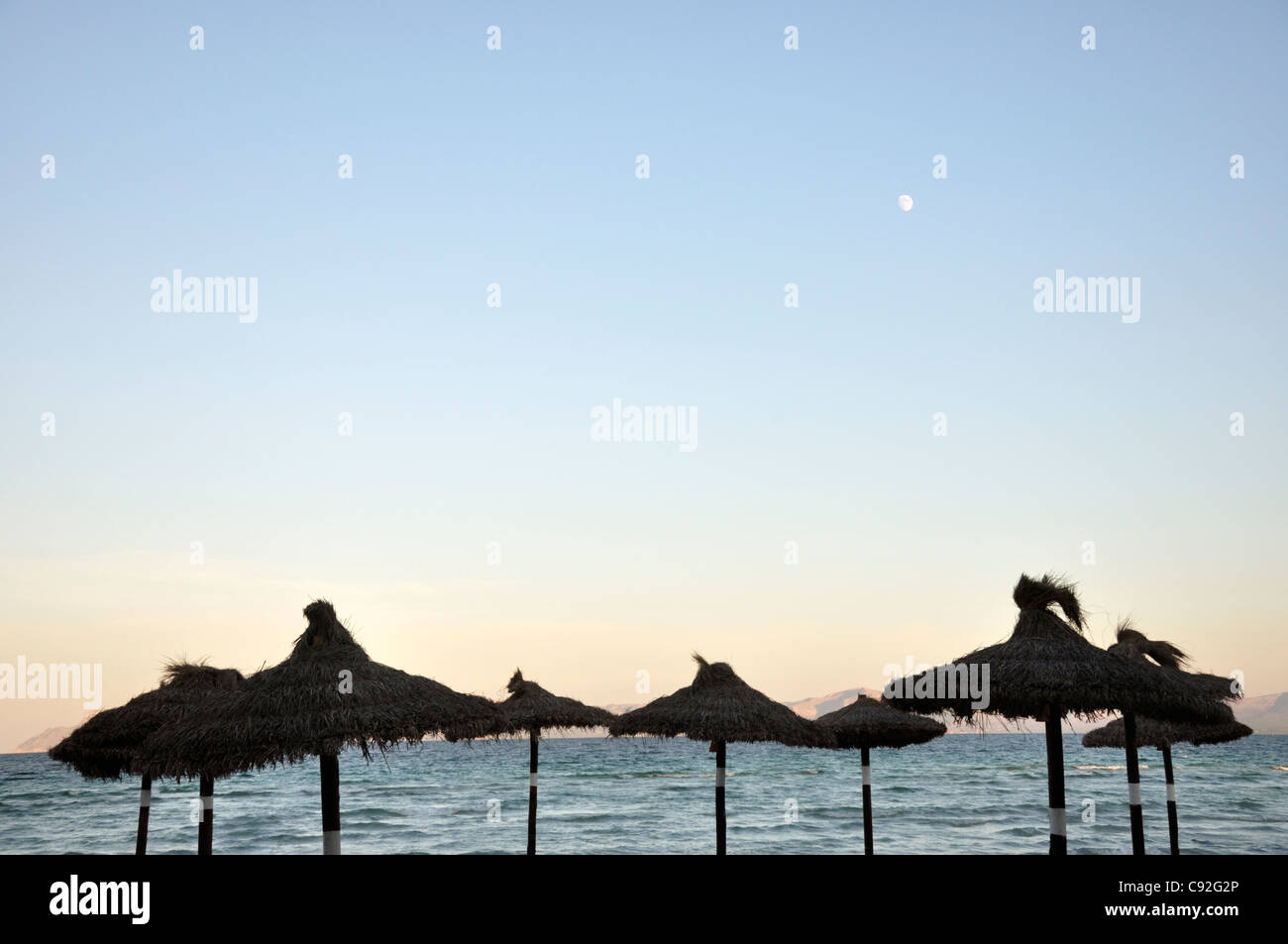 Sonnenschirme am Strand, Alcudia, Mallorca, Spanien, Europa Stockfoto