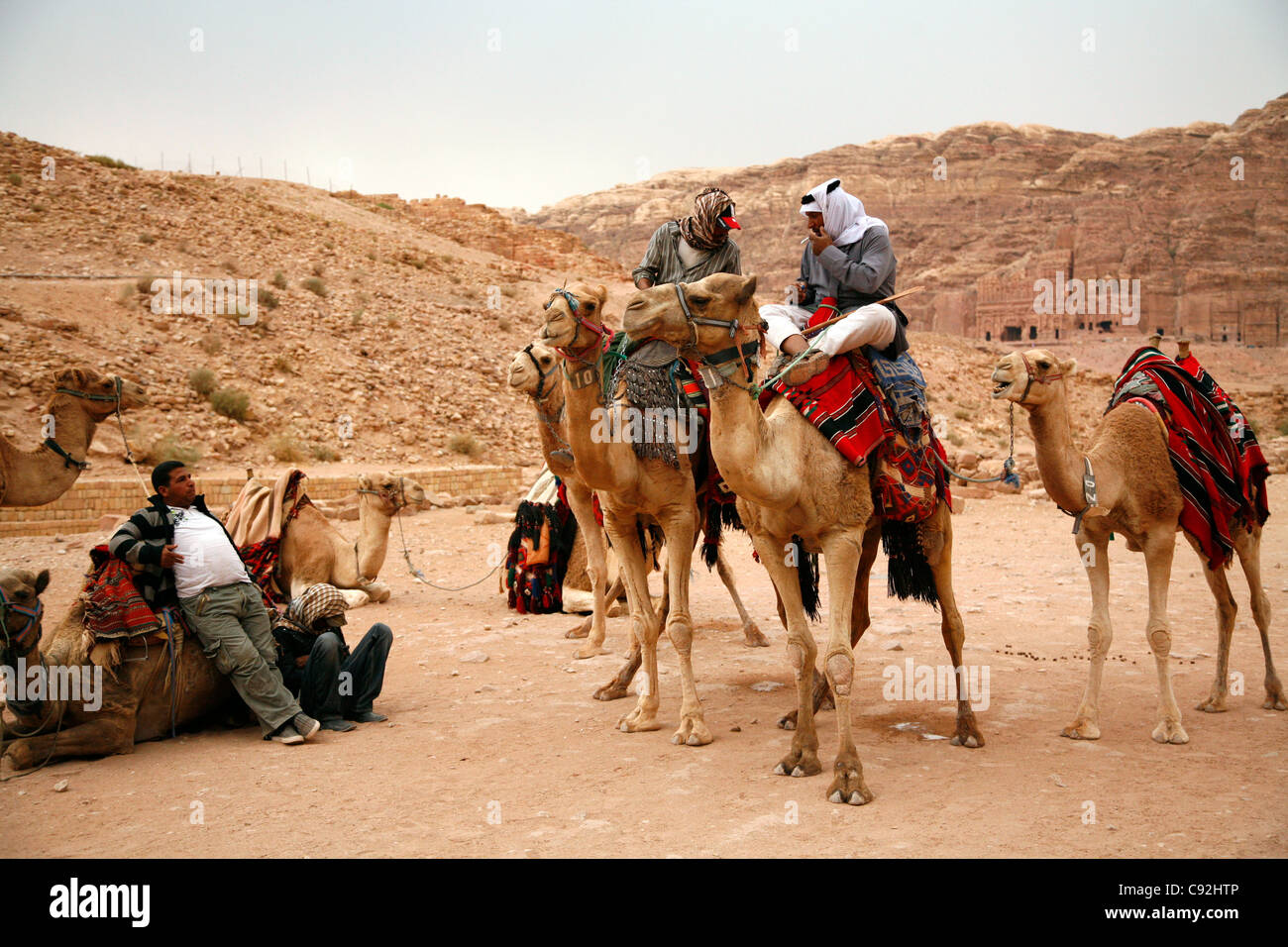 Männer der Beduinen mit ihren Kamelen, Petra, Jordanien. Stockfoto