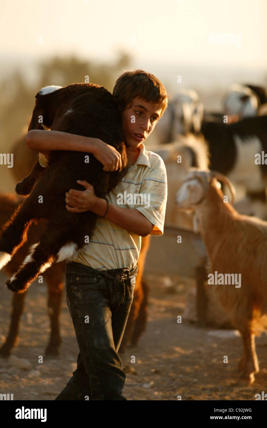 Porträt eines jungen Mannes mit einer Ziege im nördlichen Teil des Landes in der Nähe von Umm Qais, Jordanien. Stockfoto