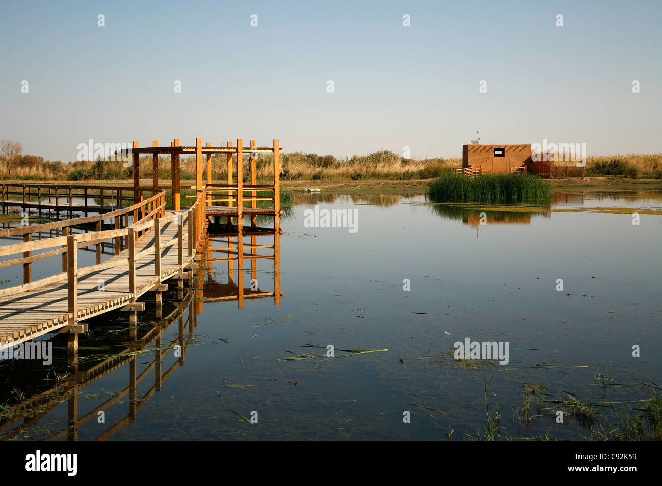 der Azraq Wetland Reserve, Azraq, Jordanien. Stockfoto