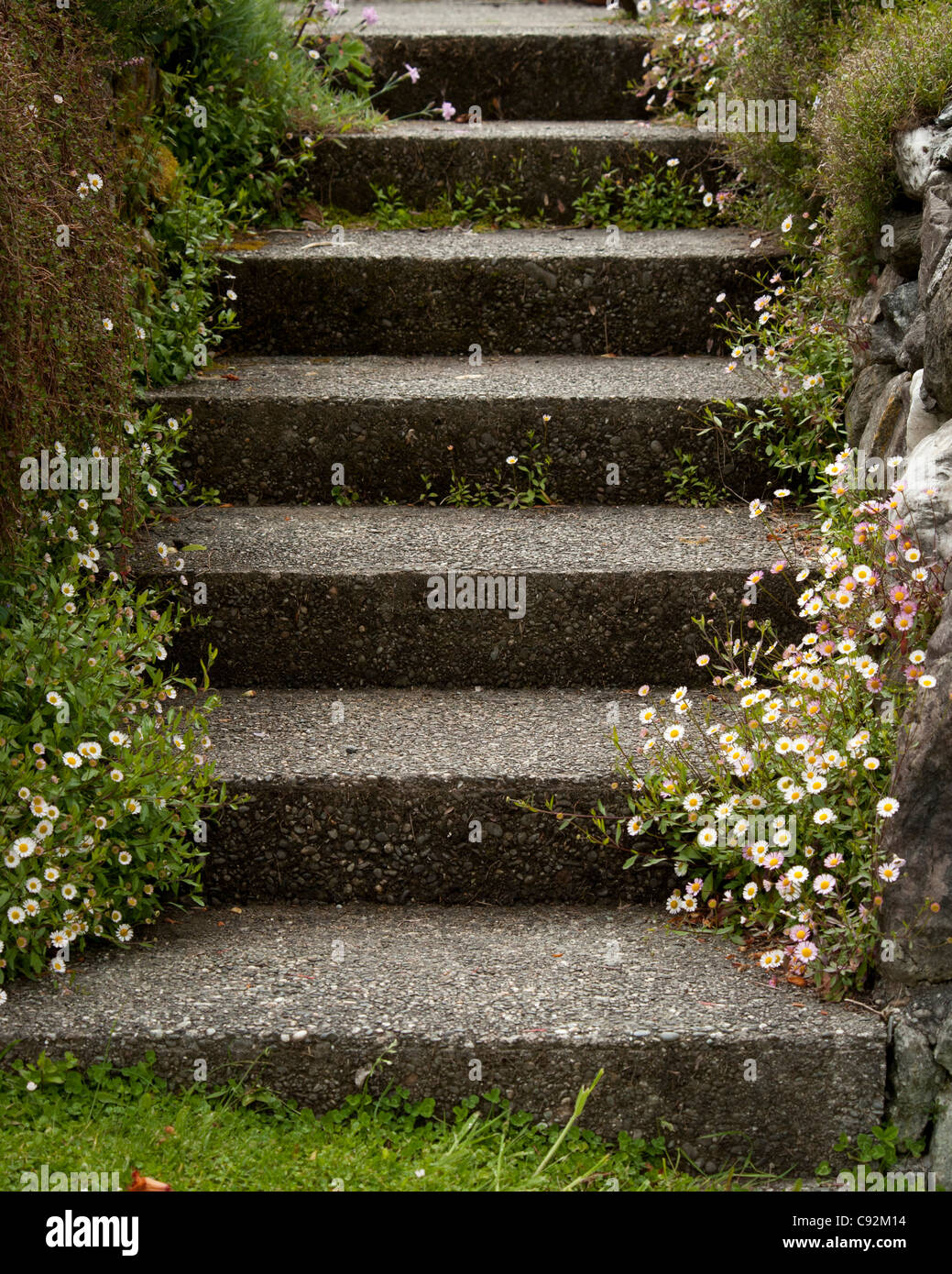 Schritte umgeben von Blumen und Felsen Stockfoto
