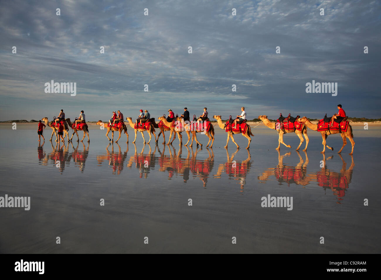 Touristischen Kamel trainieren am Cable Beach, Broome, Kimberley-Region, Western Australia, Australien Stockfoto