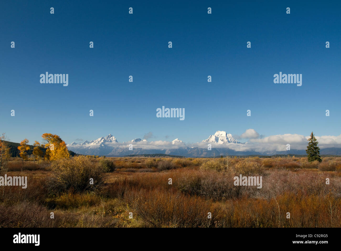 Grand Teton Nationalpark Wyoming USA Stockfoto