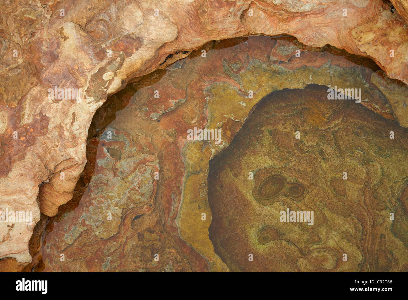 Rock Pool, Gantheaume Point, Broome, Kimberley-Region, Western Australia, Australien Stockfoto