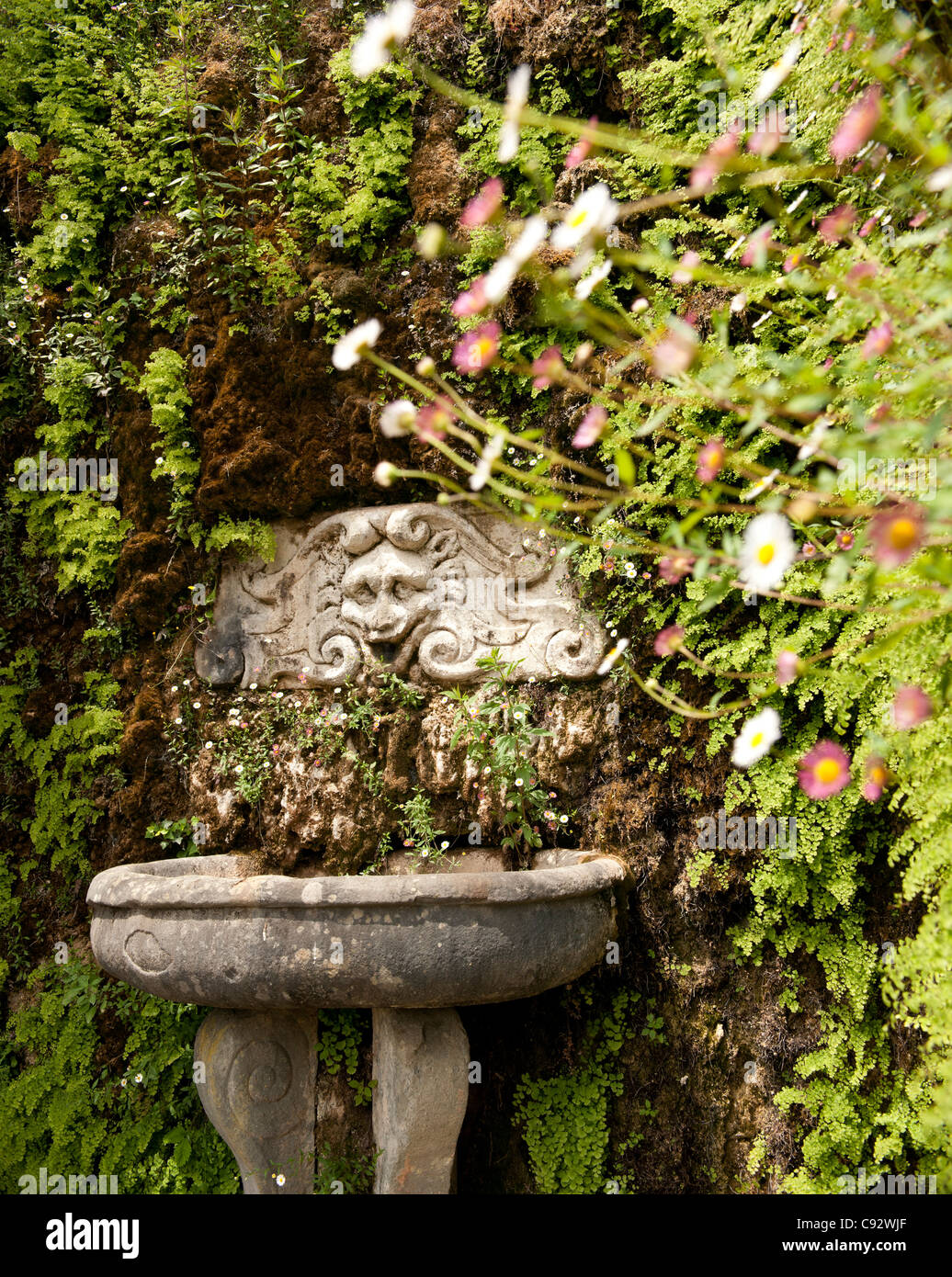 Die Verwendung von Stein geschnitzte Gesichter und Zeichen ist häufig in historischen Gärten im italienischen Stil. Verzierungen auf den Brunnen in der Villa Stockfoto