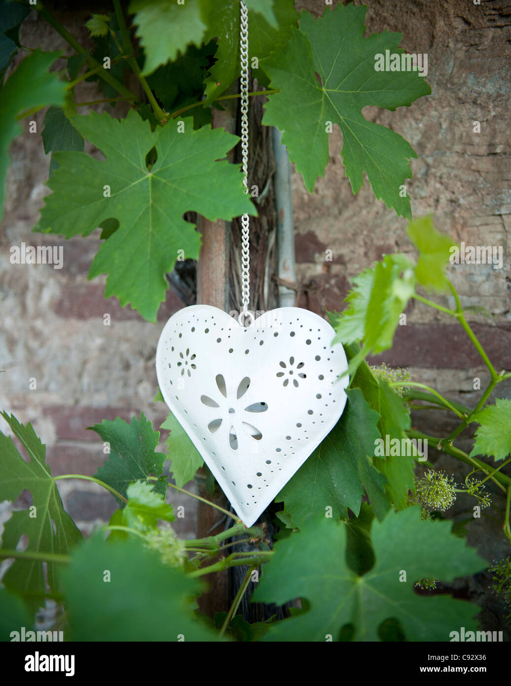 Das Herz ist das international anerkannte Symbol der Liebe und ist traditionell verwendet die Worl über Hochzeiten dekorieren. Stockfoto