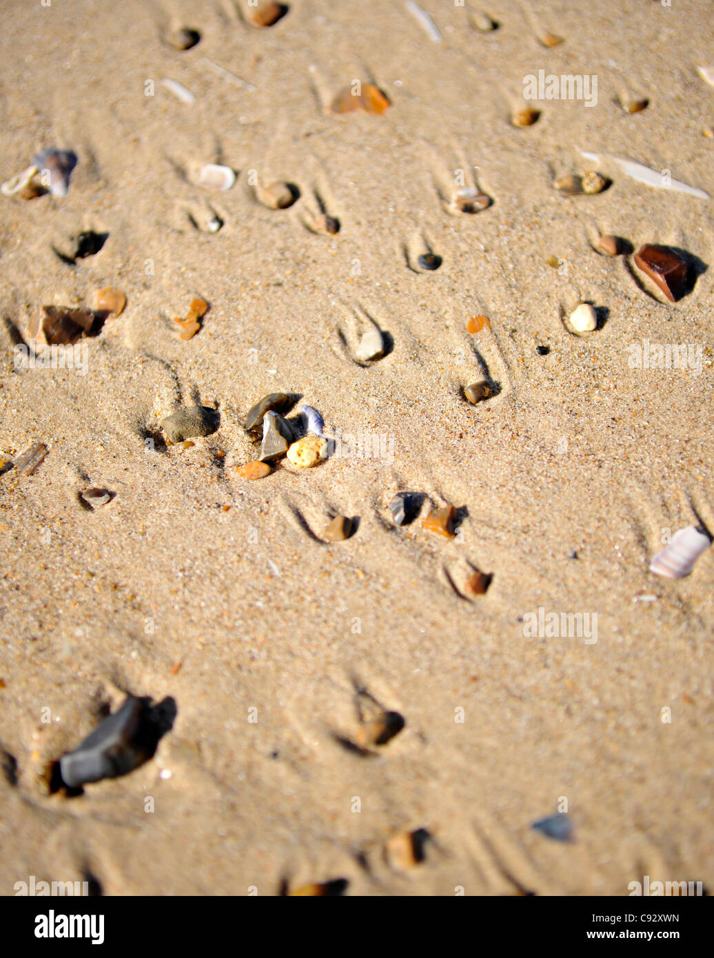 Brancaster Strand ist berühmt für seinen beeindruckenden Sanddünen weiten Strand und ist eine geschützte Arera von außergewöhnlicher natürlicher Schönheit. Stockfoto