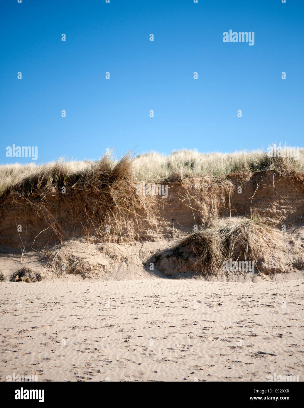 Brancaster Strand ist berühmt für seine beeindruckenden Sanddünen und ist eine geschützte Arera von außergewöhnlicher natürlicher Schönheit. Küste Stockfoto