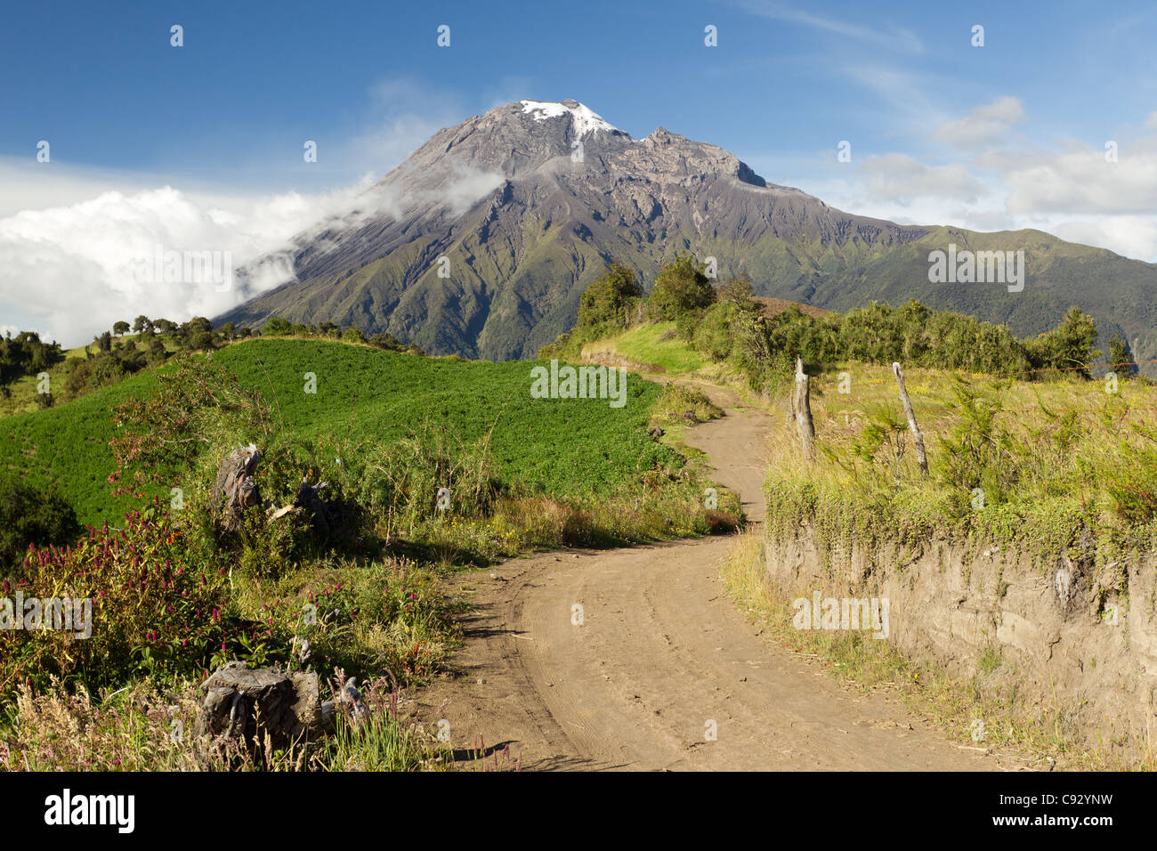 Straße im Hochland der Anden führt den Betrachter auf den Vulkan Tungurahua Stockfoto