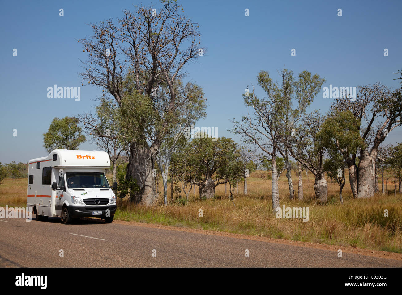 Wohnmobil und Boab Bäume in der Nähe von Warmun (Türkei Creek), Great Northern Highway, Kimberley-Region, Western Australia, Australien Stockfoto