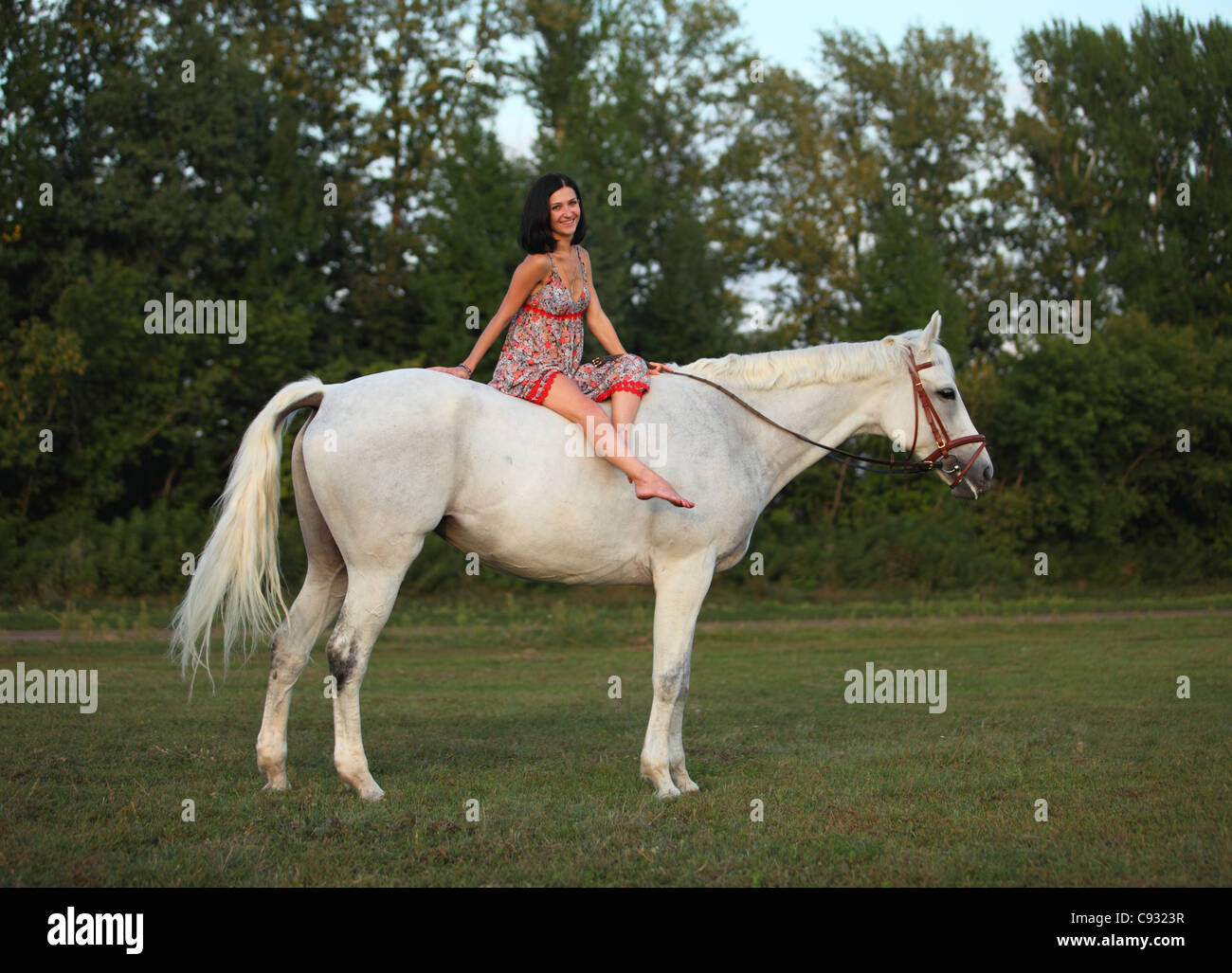 Junge Frau Reiter und ihr Pferd herein Abend Weide Stockfoto