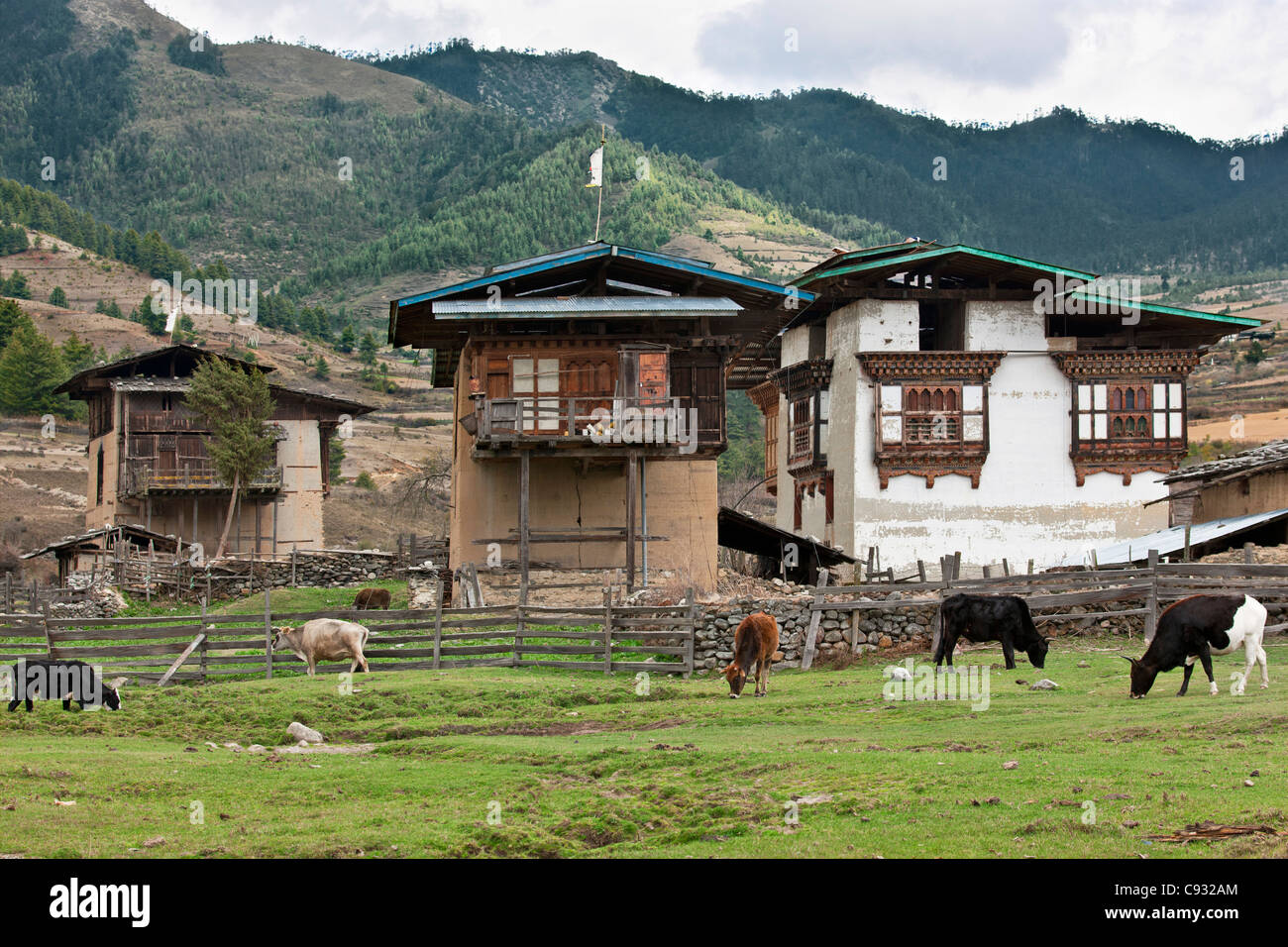 Ein Bauernhof mit typischen bhutanischen anmutenden Bauernhäuser im fruchtbaren Phobjikha Tal. Stockfoto