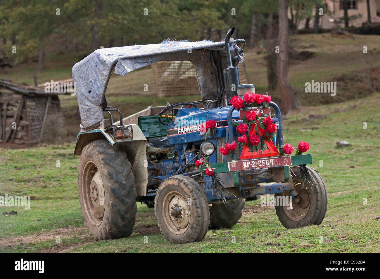 Ein Traktor mit roten Rhododendron Blüten auf einem Bauernhof in der fruchtbaren Phobjikha Tal eingerichtet. Stockfoto