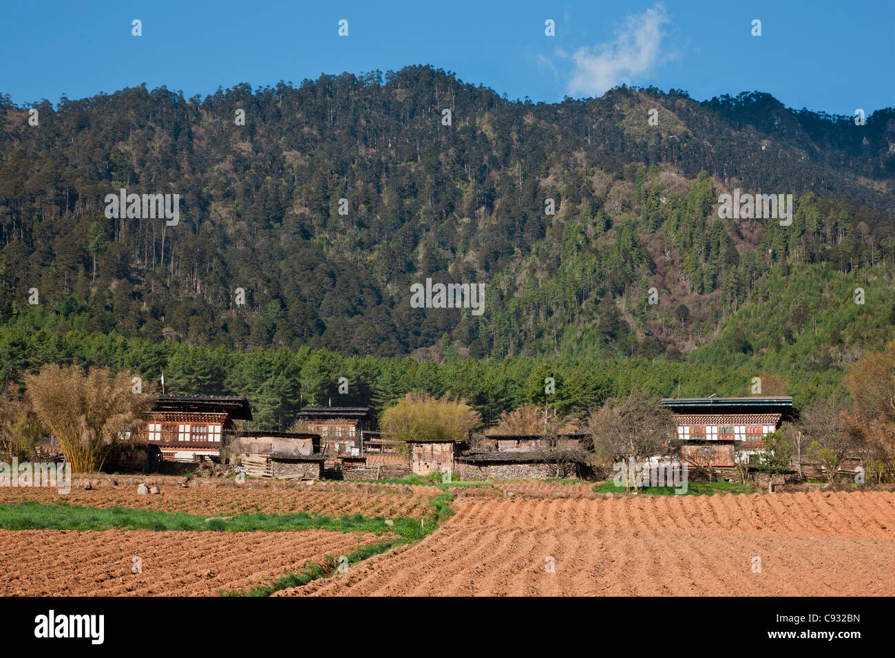 Bauernhöfe im fruchtbaren Phobjikha Tal. Stockfoto